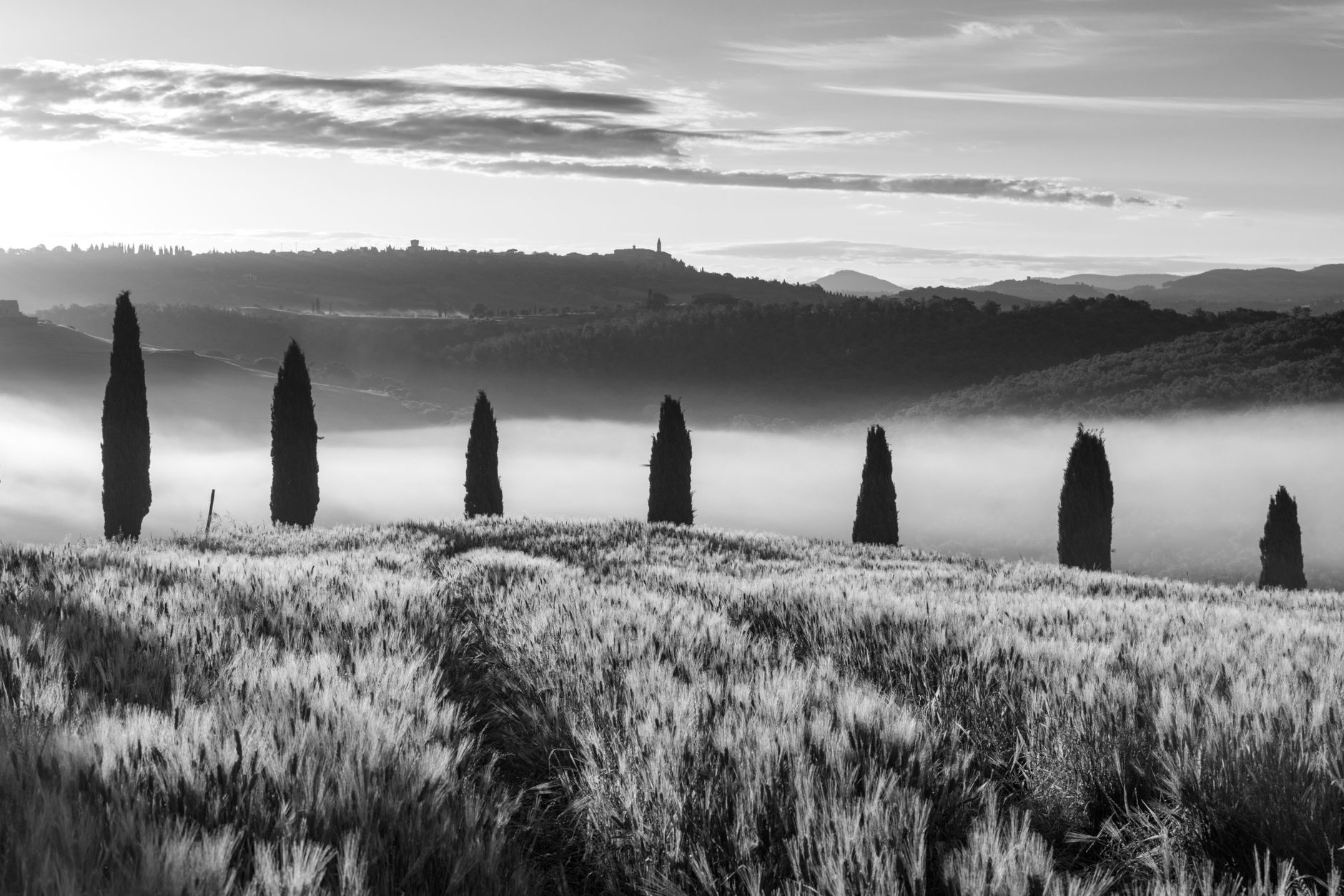 Sun drenched stone villa on hills of Val d'Orcia