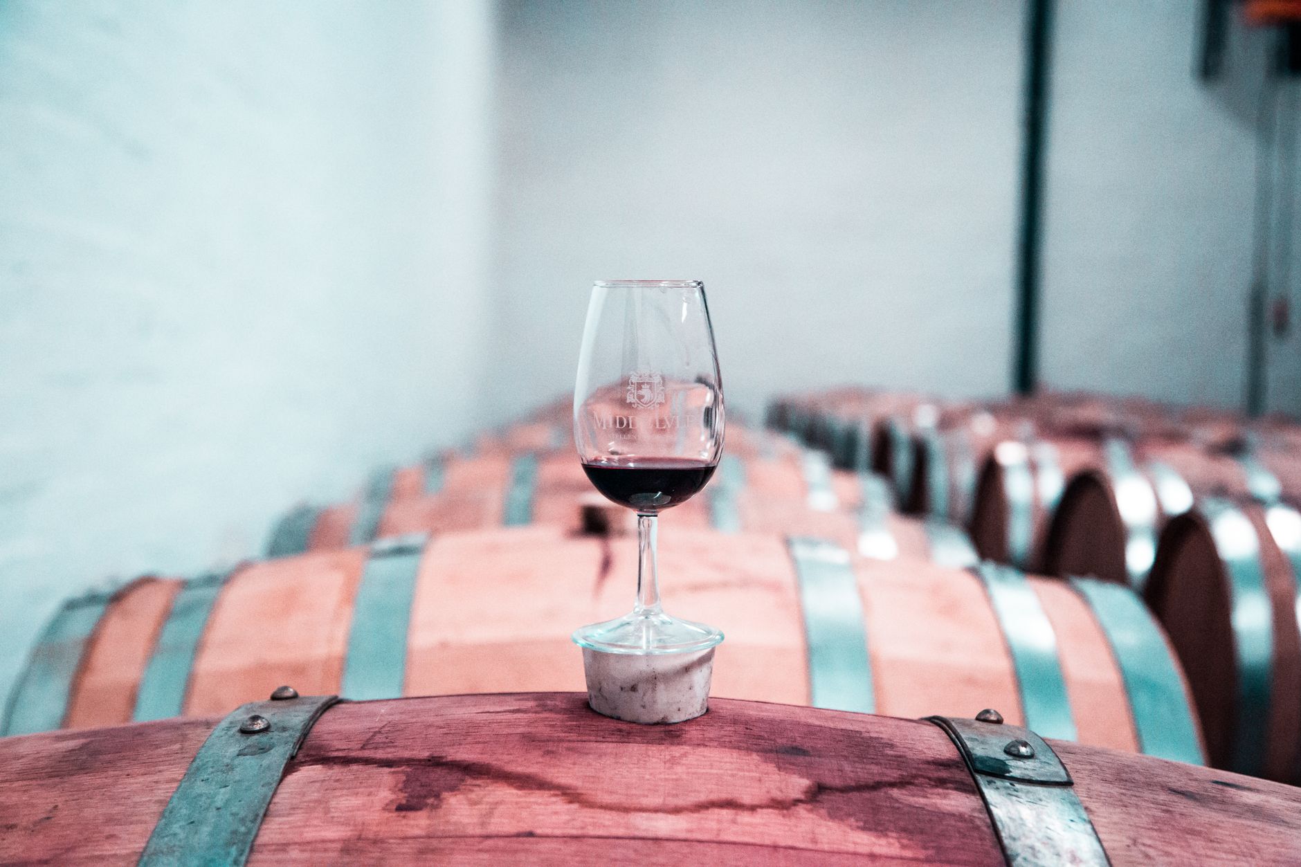 Artisan wine cellar tasting room